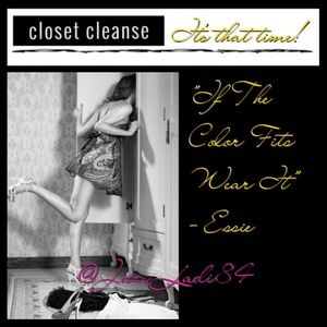 Closet Cleanse