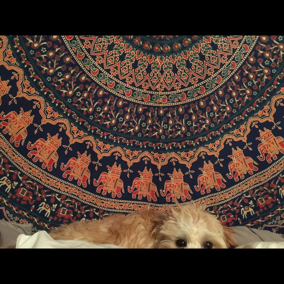 Urban Outfitters Tapestry - Picture 2 of 3