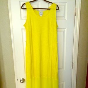 *markdown* Lane Bryant Spring/Summer Dress
