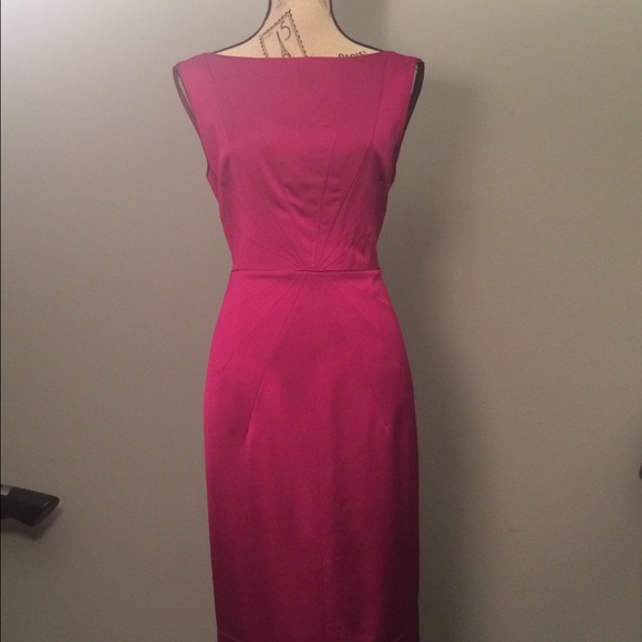 Banana Republic Fuchsia Pink dress NWT
