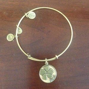 Alex and ani friend charm bracelet