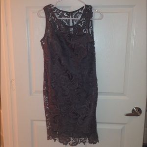 NWT Cache dark grey lace dress