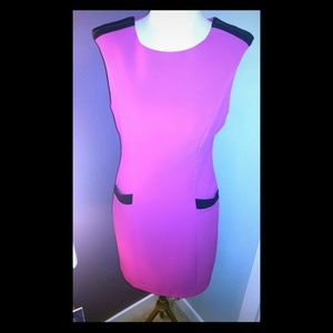 The Limited- Pink Sheath Dress