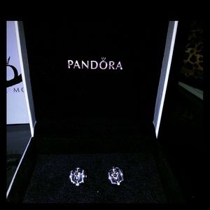 Pandora Charms