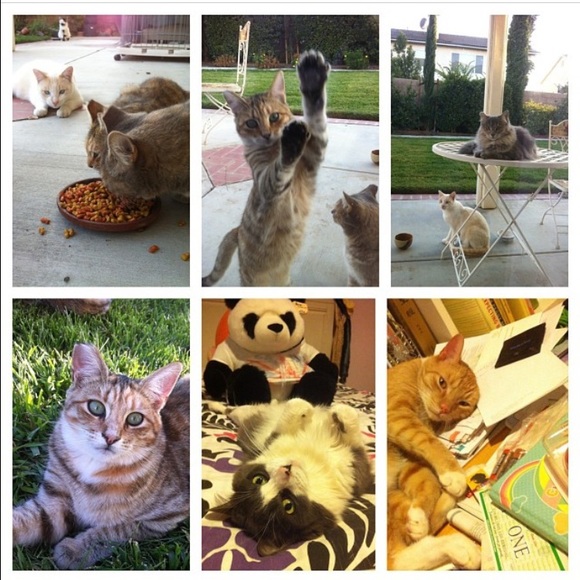 Meet Your Seller || Jess 🎀🌻IG: @mycubiclechic - Picture 2 of 4