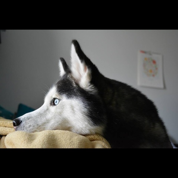 Meet your seller! 🎀 - Picture 2 of 5