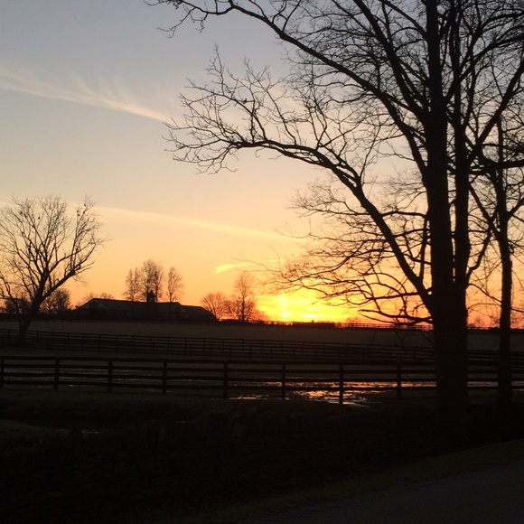 Meet your seller! 🎀 - Picture 3 of 5