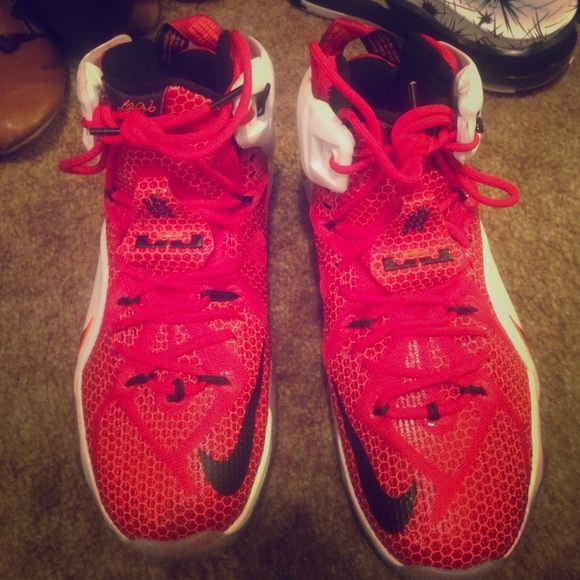 Lebrons 12