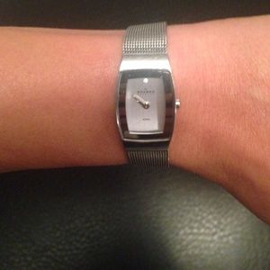 🕙 Ladies Skagen Watch w Stainless Steel Bracelet