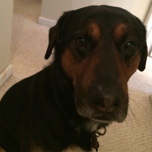 Please By My Mommy's Clothes!!