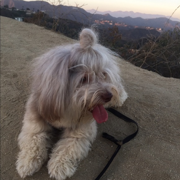 About me. - Picture 2 of 6