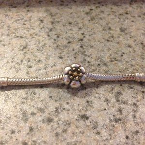 RETIRED Authentic Pandora Charm