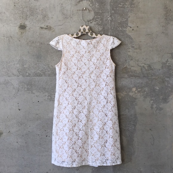 velvet torch | lace dress - Picture 3 of 4