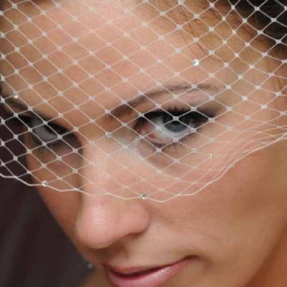 Bird cage veil