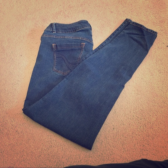 Lane Bryant Stretch Skinny Jeans