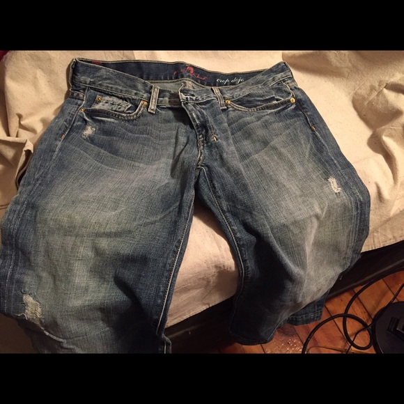 7 For All Mankind Dojo Crops