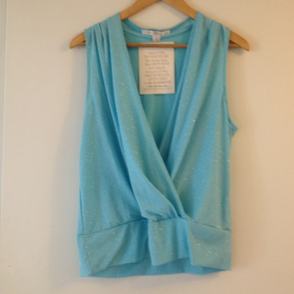 Boston Proper Tops - Clearance 💙Glitter Banded Top💙