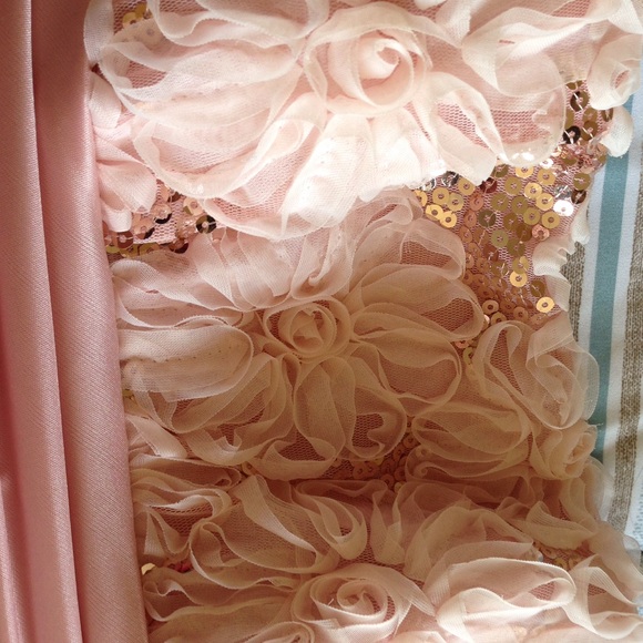 Prom Dress - Picture 3 of 4