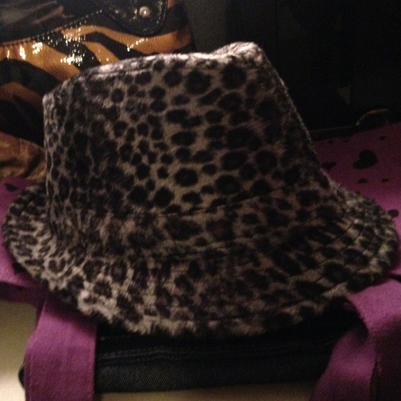 Leopard - Picture 2 of 2
