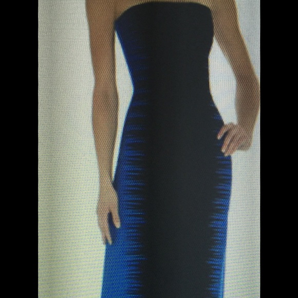 Authentic brand new Herve Leger blue / black gown