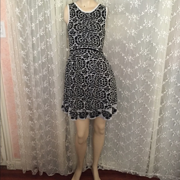 Ark & co sweater dress size small