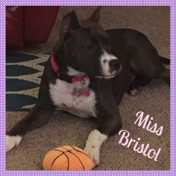 💥💖💥PLEASE FOLLOW ALL POSHMARK RULES💥💖💥 - Picture 4 of 4