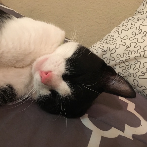 Meet your seller 😊💕 - Picture 3 of 4