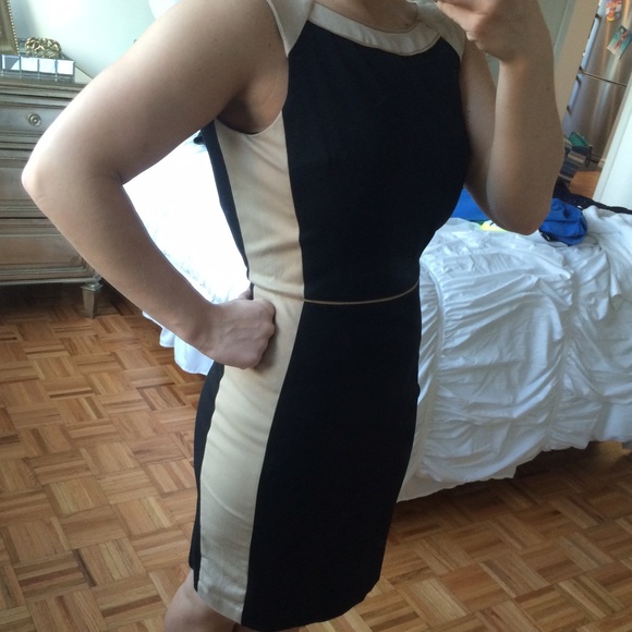 Banana Republic Black and Tan dress. - Picture 2 of 4