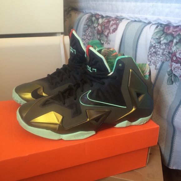 Lebron 11 kings pride