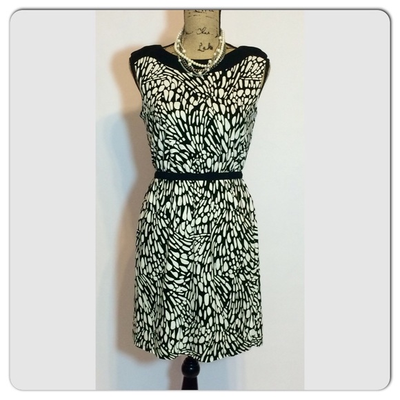 Ann Taylor LOFT Dress
