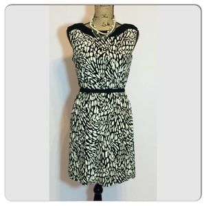 Ann Taylor LOFT Dress