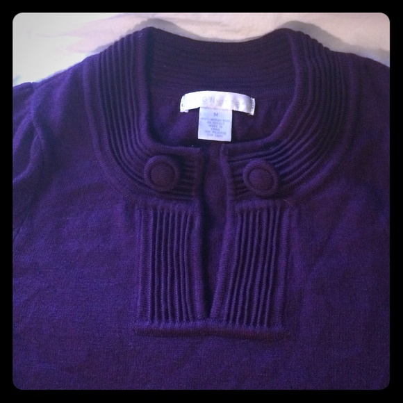 Merino wool knit dress/tunic (plum, M)