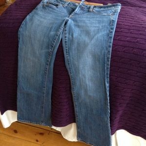 AE stretch favorite Boyfriend size 8 short