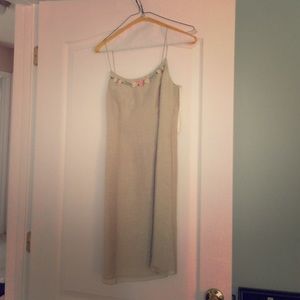 Beautiful Ann Taylor dress