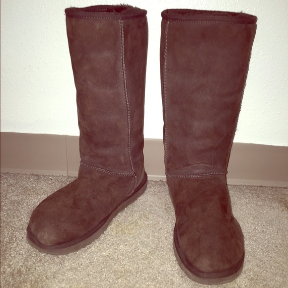 Tall Chocolate Uggs
