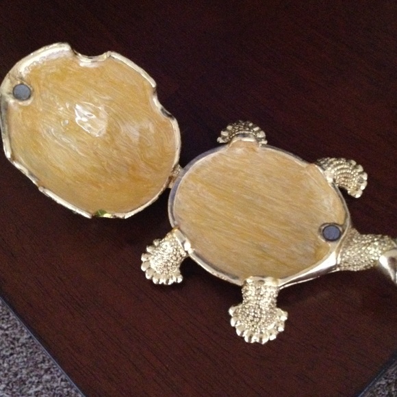 Beautiful turtle - Picture 2 of 4