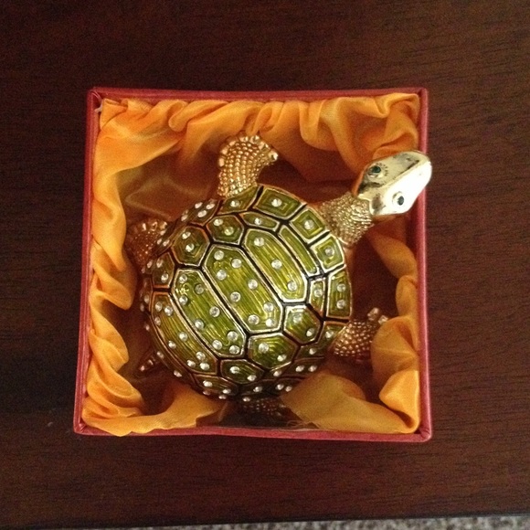 Beautiful turtle - Picture 4 of 4