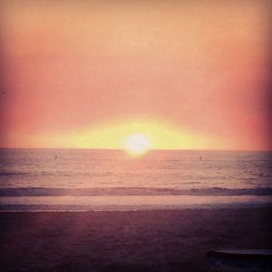 Bundle for @drkbwtee