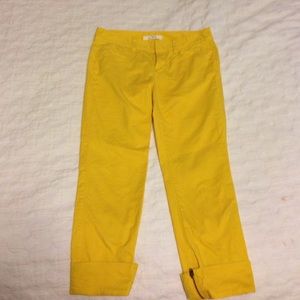 Ann Taylor loft yellow Capris