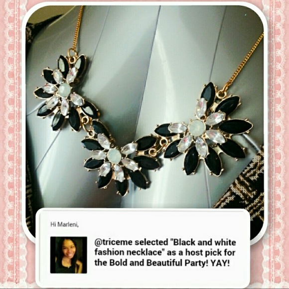 🌟🚫 SOLD IN BUNDLE 🚫🌟  🎉🎉HP🎉🎉  B&W necklace - Picture 2 of 4