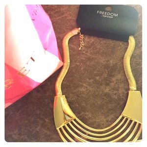Two necklaces from Freedom at TopShop 2 for 1