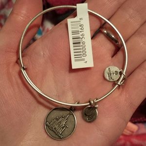 Bnwt Cinderella castle disney