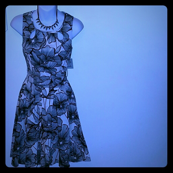 Brand NEW Black and white dress