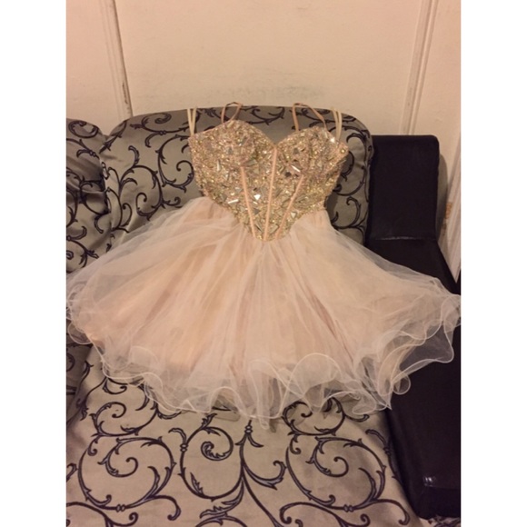 Prom Dress/Sweet 16 Dress