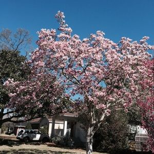 MAKE ME AN OFFER !!!