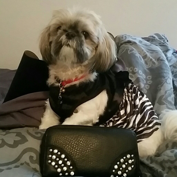 Rhinestone and Stud Black Wallet