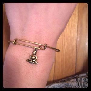 Alex and Ani charm bangle