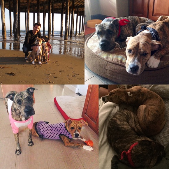 ✨meet your seller👋🏽🙋🏻 - Picture 2 of 4