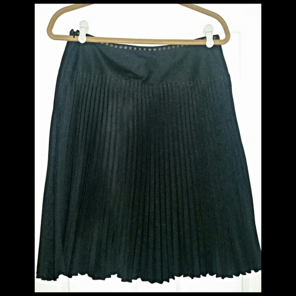 Ann Taylor pleaded career skirt