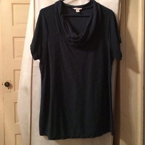 Cowl neck short sleeve top